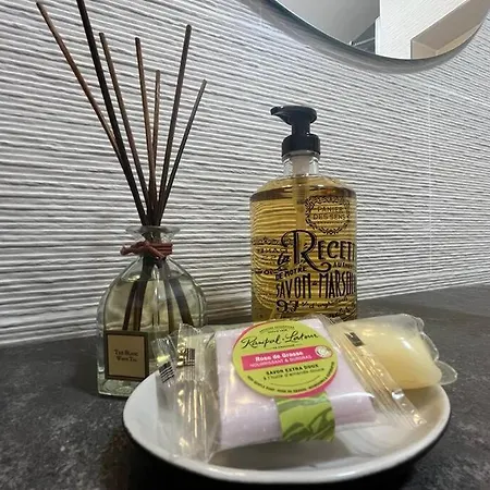 4 Personnes Mer, Piscine, Parking, Tennis, Wifi 昂蒂布