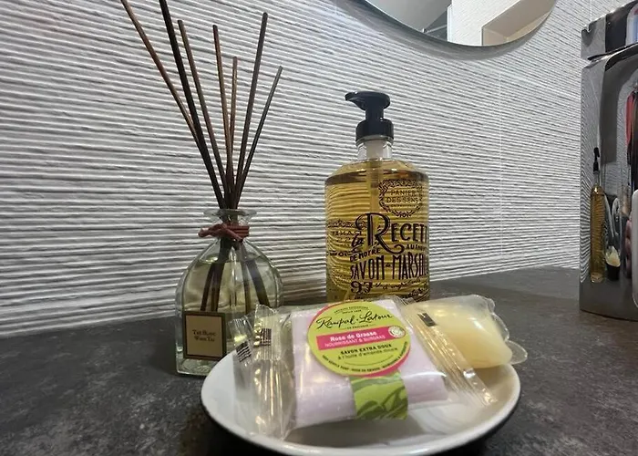 4 Personnes Mer, Piscine, Parking, Tennis, Wifi 昂蒂布